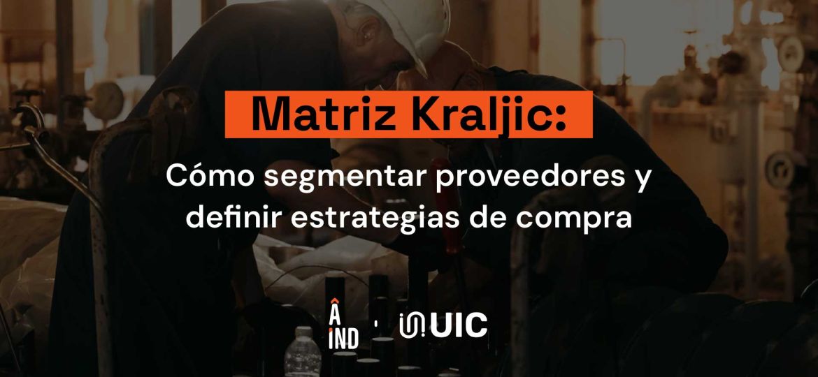 Matriz Kraljic aplicada a proveedores de una empresa industrial